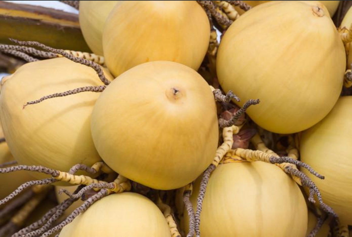 1728456213346534.png ΢ÐŽØÍ¼_20240930152907.png