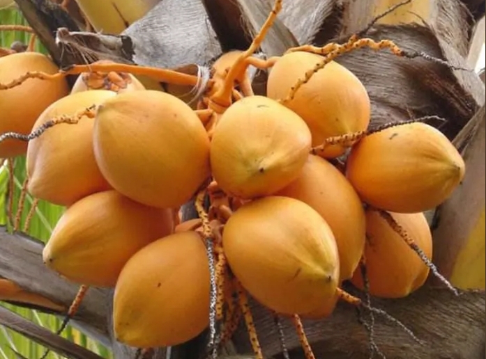 1728456220353563.png ΢ÐŽØÍ¼_20240930152927.png