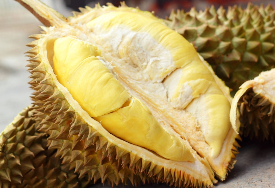 1728545637800068.png ΢ÐŽØÍ¼_20241009154348.png