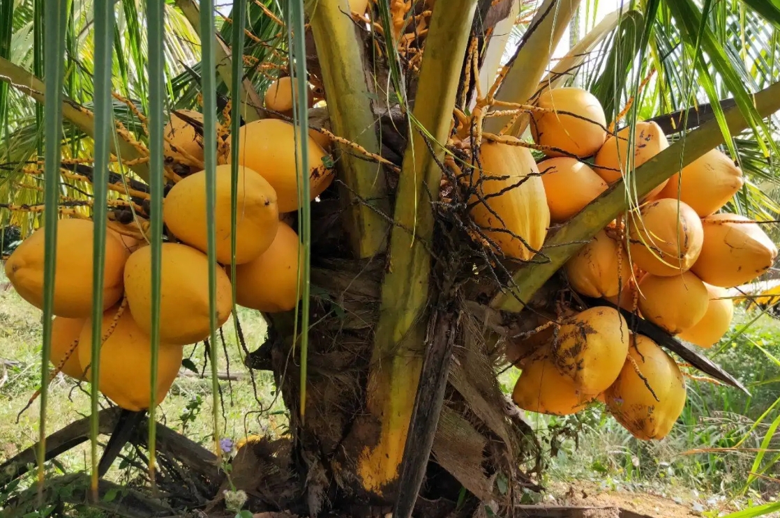 1728629052714005.png 微信截图_20241011095308.png