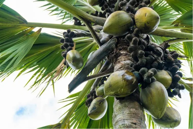 1728974953106935.png ΢ÐŽØÍ¼_20241015095917.png