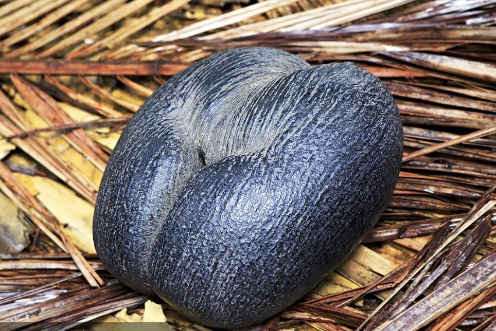 1728974960285728.png ΢ÐŽØÍ¼_20241015095953.png