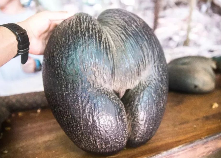 1728974965173412.png ΢ÐŽØÍ¼_20241015100026.png