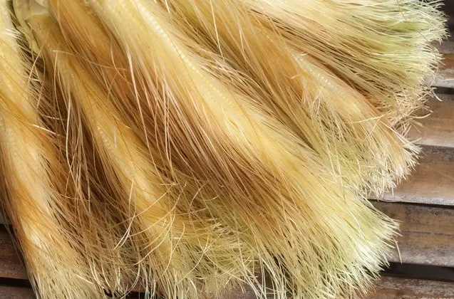 1729664572990425.png ΢ÐŽØÍ¼_20241022120158.png