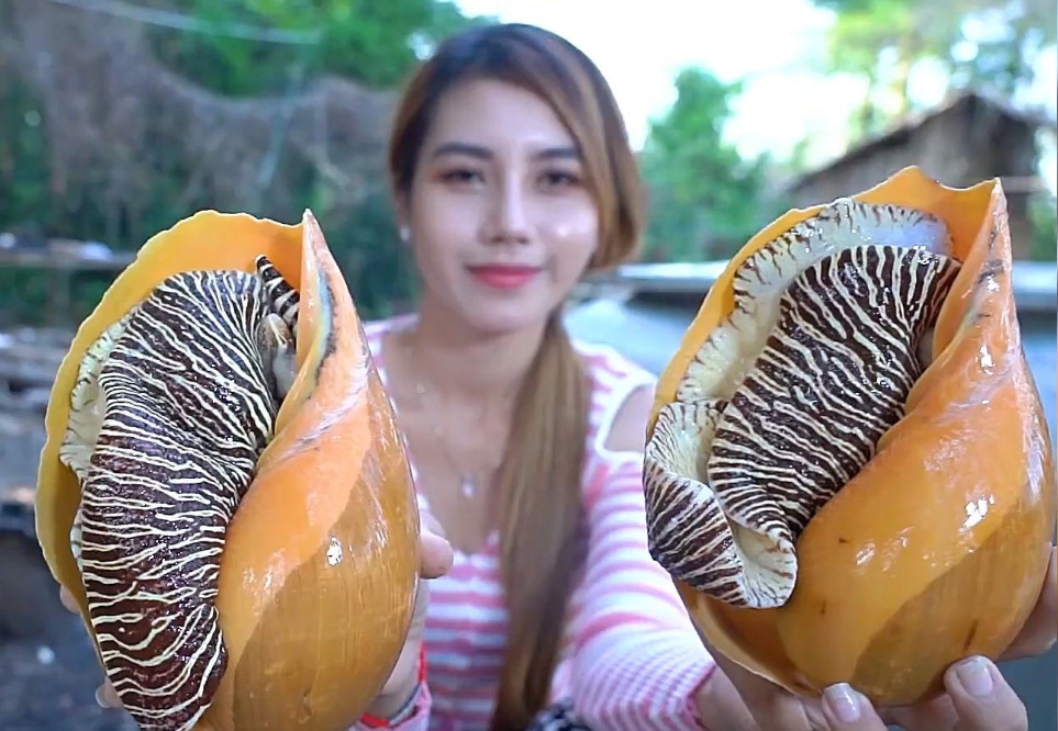 1734418954937763.png ΢ÐŽØÍ¼_20241216102428.png