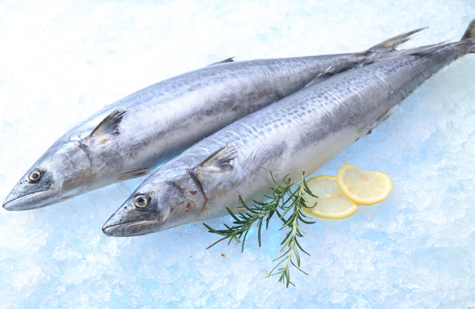 1734942347283451.png ΢ÐŽØÍ¼_20241219111512.png