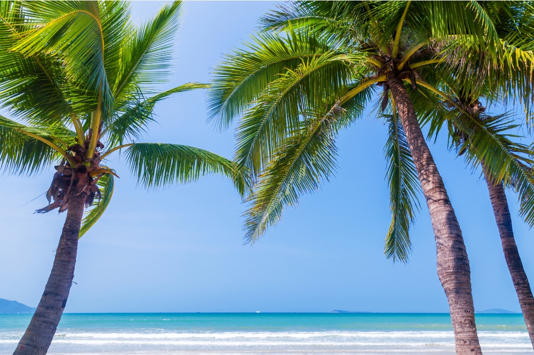 1735107774849973.png ΢ÐŽØÍ¼_20241223144122.png