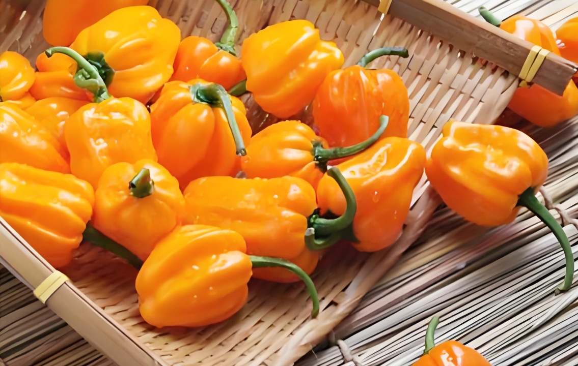 1735624629699187.png ΢ÐŽØÍ¼_20241230135014.png