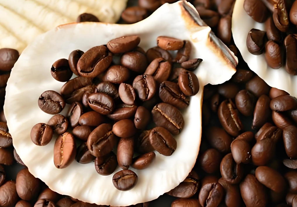 1735893377228575.png ΢ÐŽØÍ¼_20241231160140.png