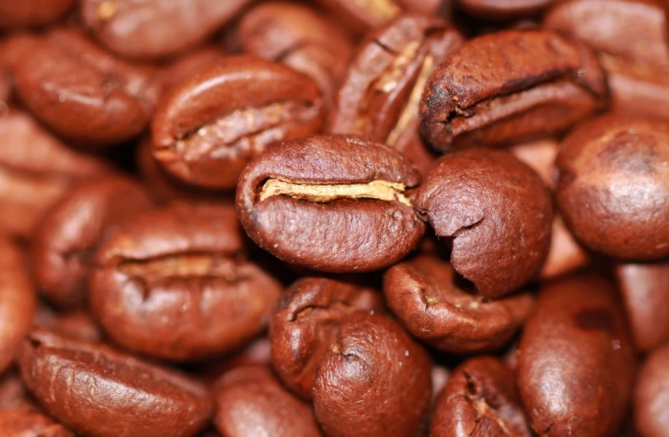 1735893383949455.png ΢ÐŽØÍ¼_20241231160019.png