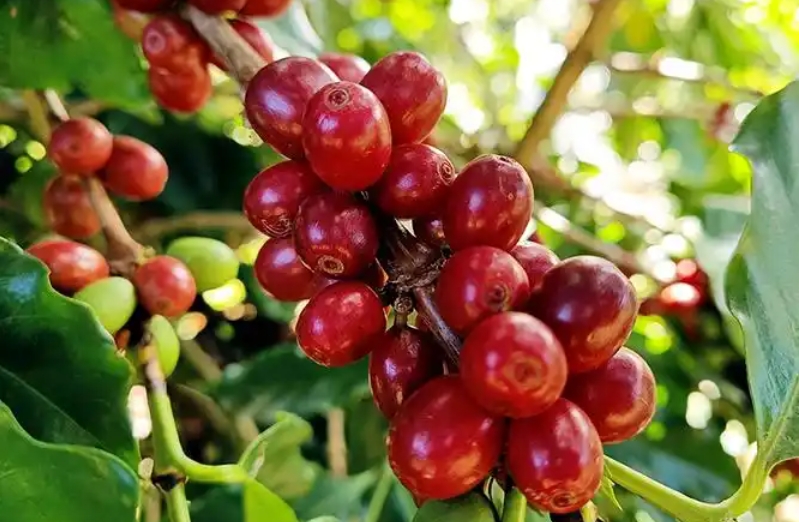 1737014820347256.png ΢ÐŽØÍ¼_20250114115403.png