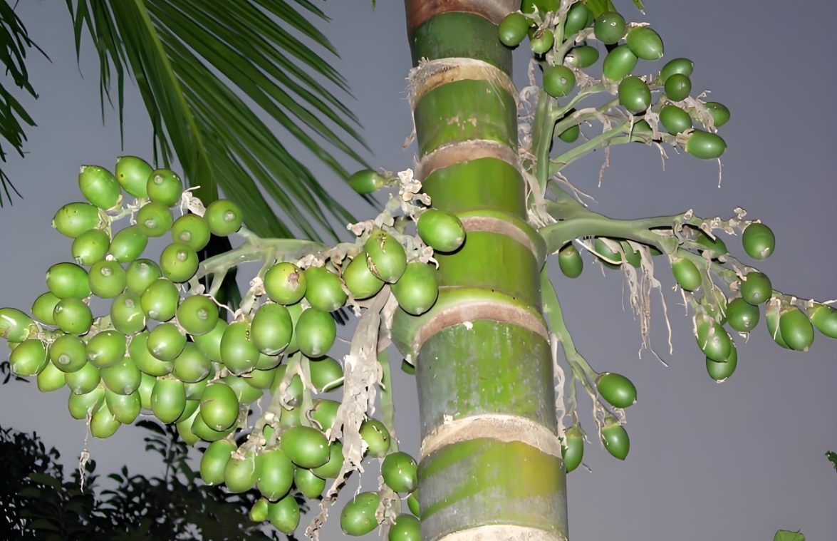 1738997798469437.png ΢ÐŽØÍ¼_20250207105415.png