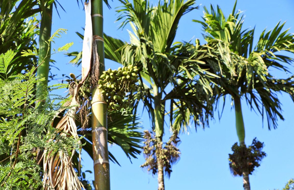 1738997814219793.png ΢ÐŽØÍ¼_20250207105508.png