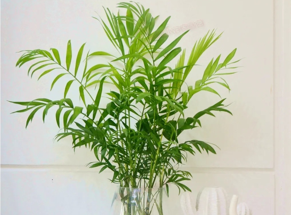 1739779654714824.png ΢ÐŽØÍ¼_20250217142455.png