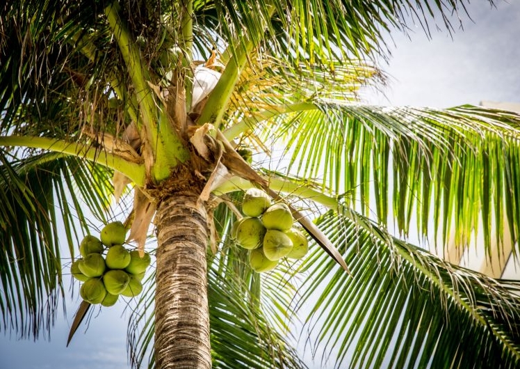 1739779665113808.png ΢ÐŽØÍ¼_20250217142640.png