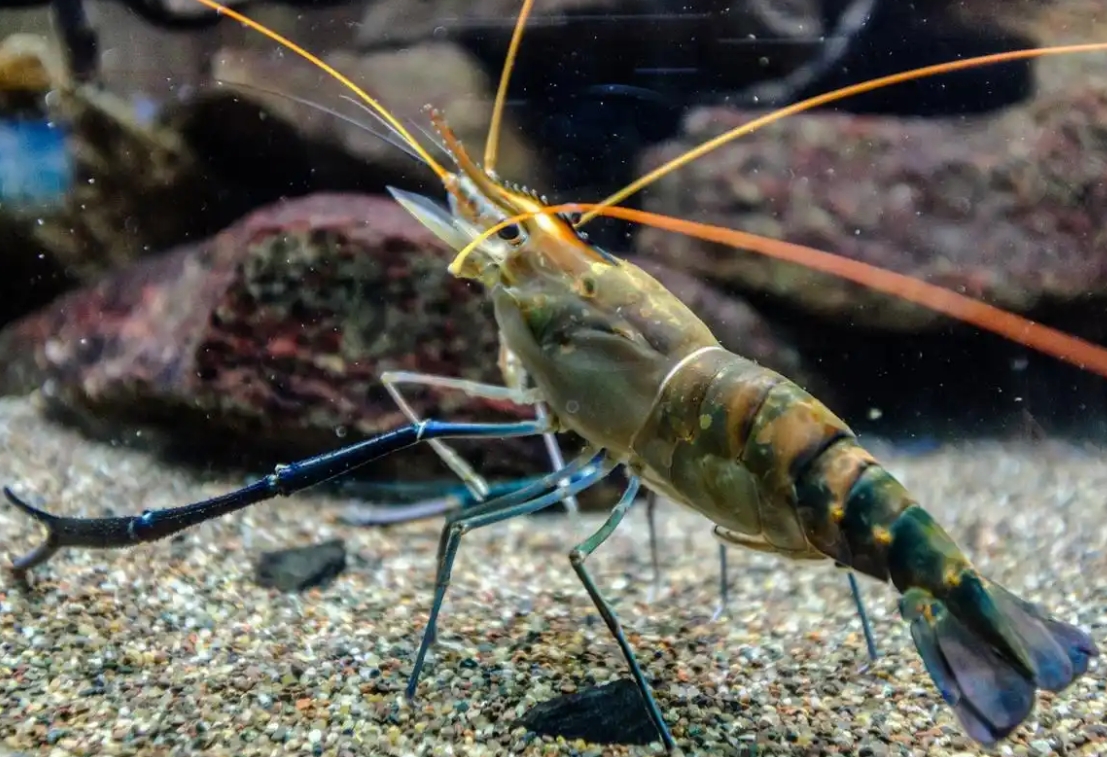 1742200704157177.png ΢ÐŽØÍ¼_20250317153514.png