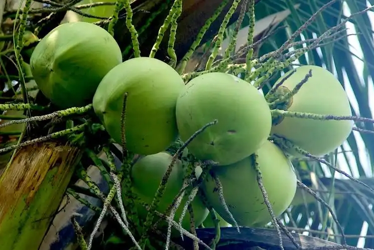 1743490962574888.png ΢ÐŽØÍ¼_20250401135024.png