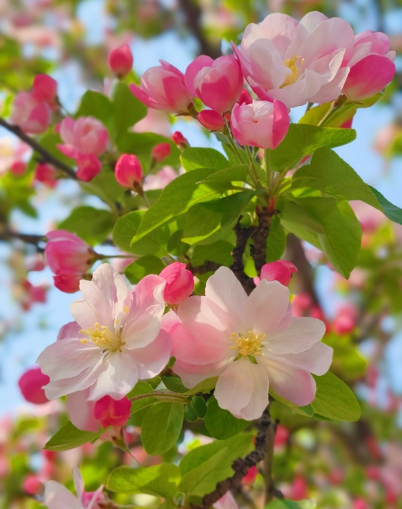 1746600128514794.png ΢ÐŽØÍ¼_20250507144106.png