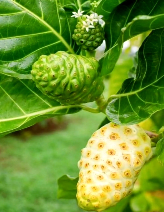 1746847972578008.png ΢ÐŽØÍ¼_20250510104445.png