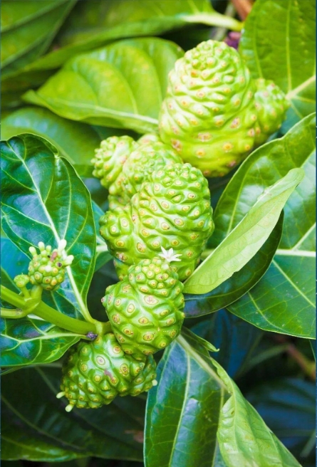 1746847981590463.png ΢ÐŽØÍ¼_20250510104515.png