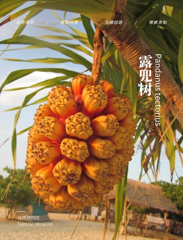 1748243399379729.png ΢ÐŽØÍ¼_20250526143717.png