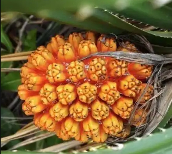 1748243411875425.png ΢ÐŽØÍ¼_20250526143500.png