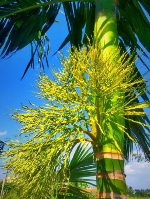 1748590786128263.png ΢ÐŽØÍ¼_20250529152239.png