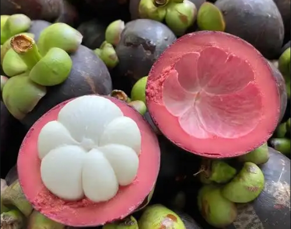 1749024398430073.png ΢ÐŽØÍ¼_20250604142008.png