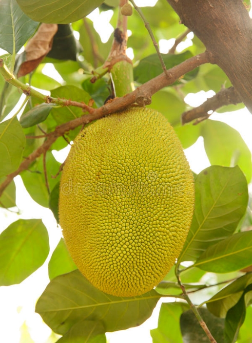 1749025590724305.png ΢ÐŽØÍ¼_20250604145145.png