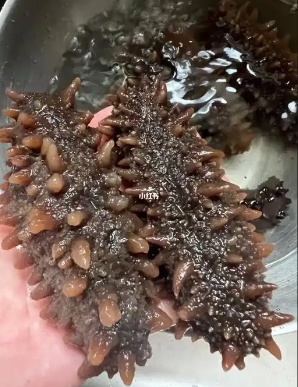 1749198160501580.png ΢ÐŽØÍ¼_20250606115101.png