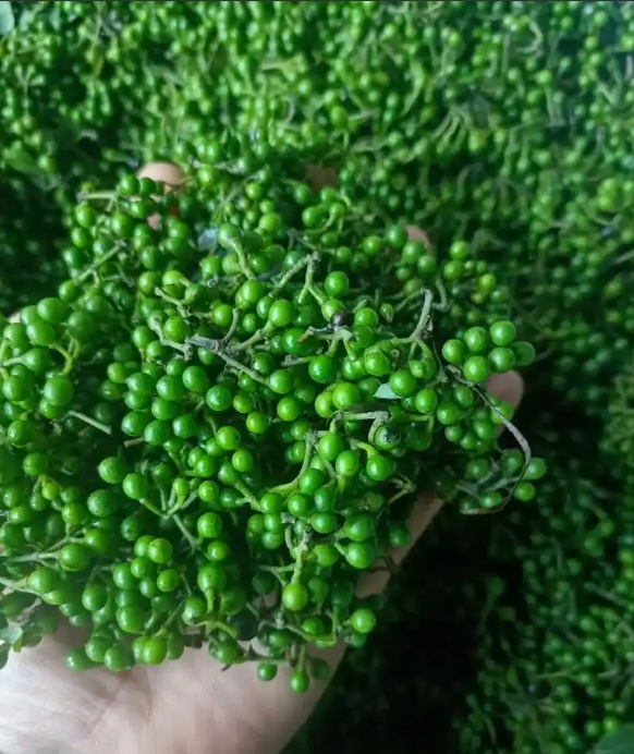 1749459687255994.png ΢ÐŽØÍ¼_20250609160540.png