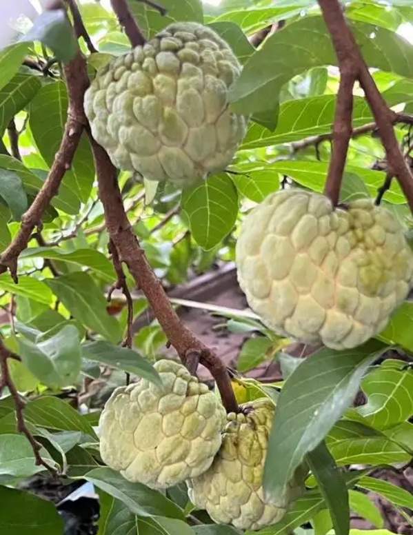 1749544909988554.png 微信截图_20250610154225.png