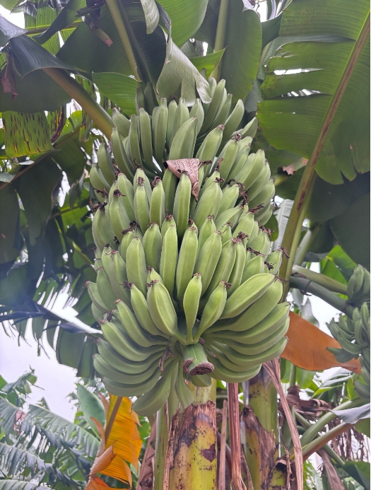 1750237873216305.png ΢ÐŽØÍ¼_20250618155119.png