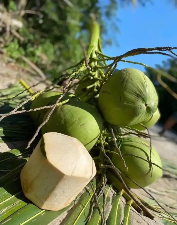 1750668957318625.png ΢ÐŽØÍ¼_20250623151921.png