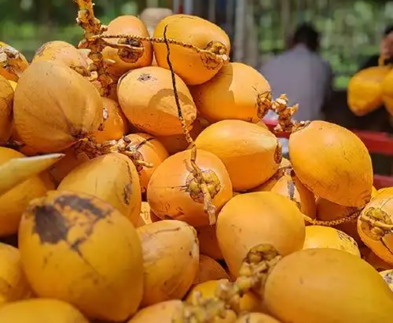 1750668970920798.png ΢ÐŽØÍ¼_20250623155733.png