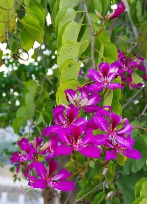 1752048654261540.png ΢ÐŽØÍ¼_20250709150924.png