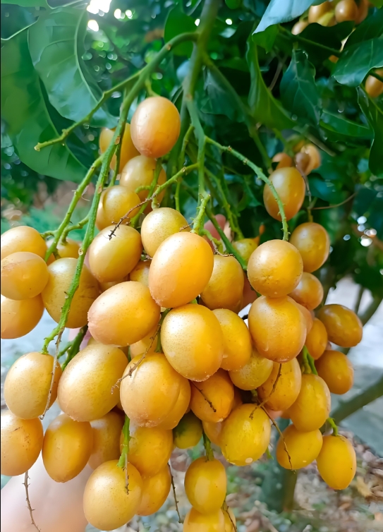 1752135729989381.png 微信截图_20250710152427.png