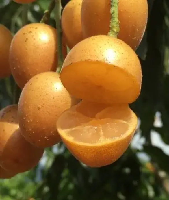 1752135751978053.png 微信截图_20250710152645.png