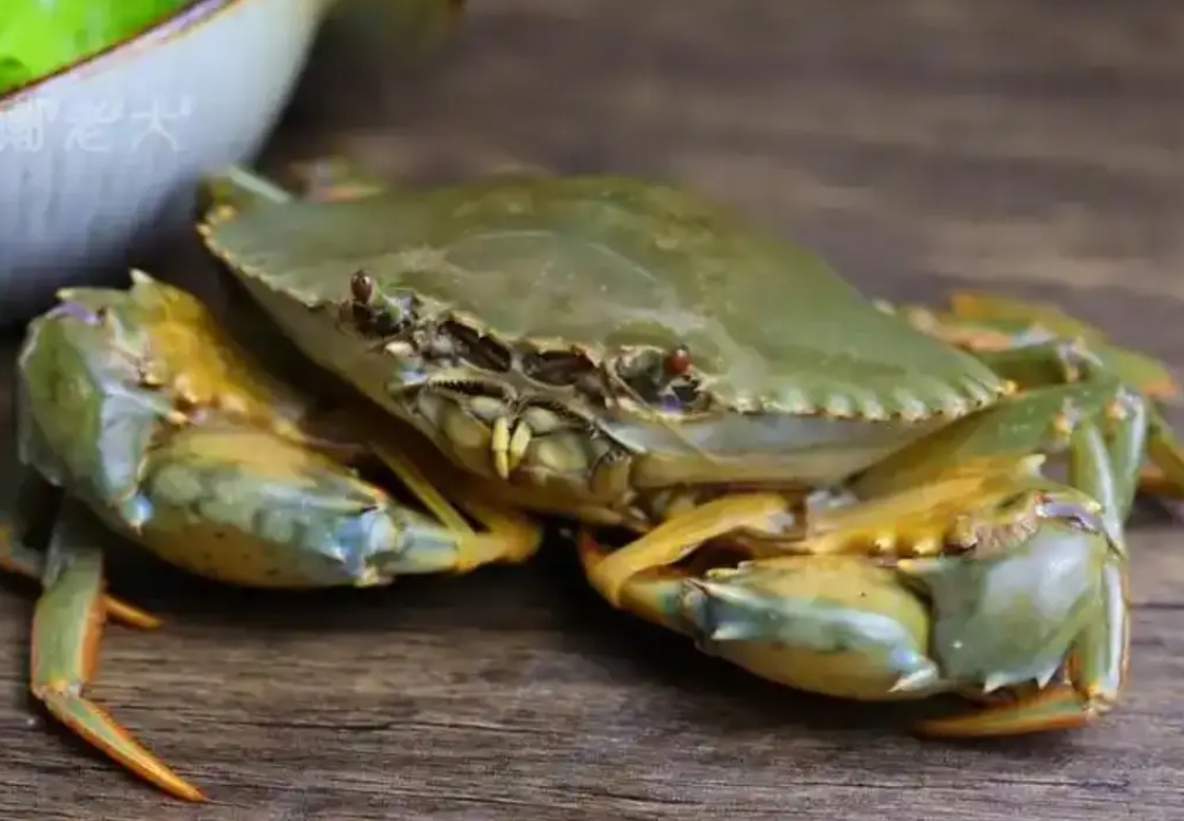 1752223628989870.png ΢ÐŽØÍ¼_20250711152557.png