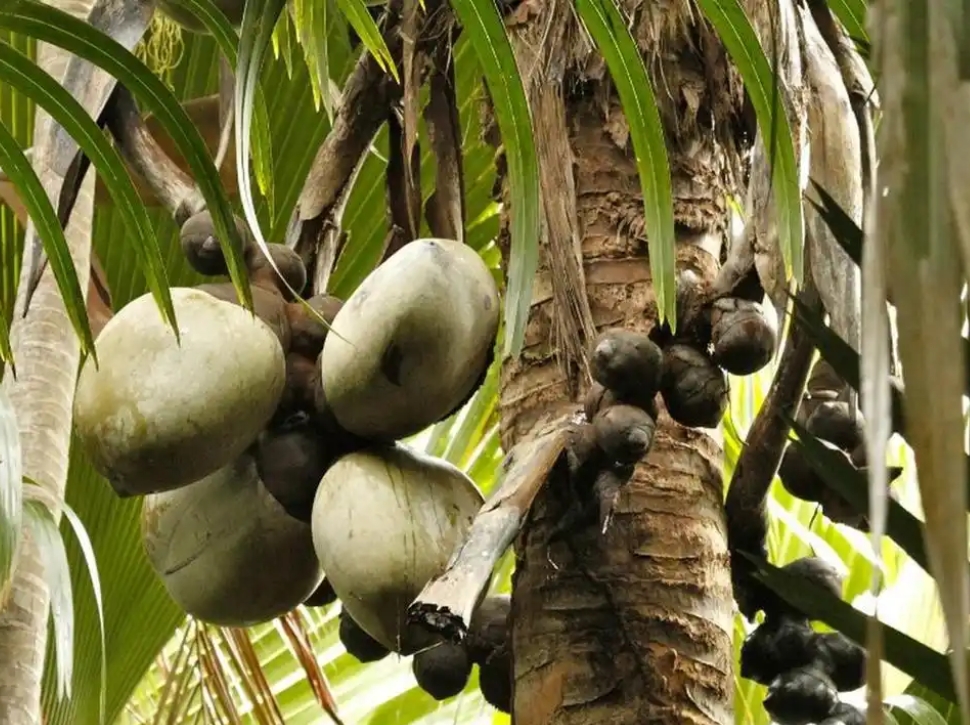 1752481363403239.png ΢ÐŽØÍ¼_20250711164029.png