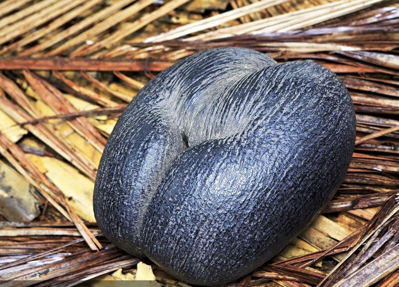 1752481369695059.png ΢ÐŽØÍ¼_20250711164127.png