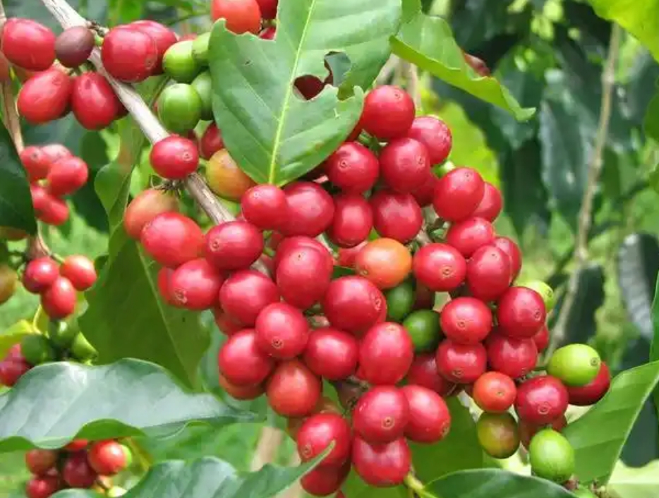 1752481791838900.png ΢ÐŽØÍ¼_20250714115931.png