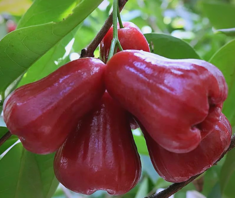 1753693586730057.png wechat_2025-07-28_165557_219.png