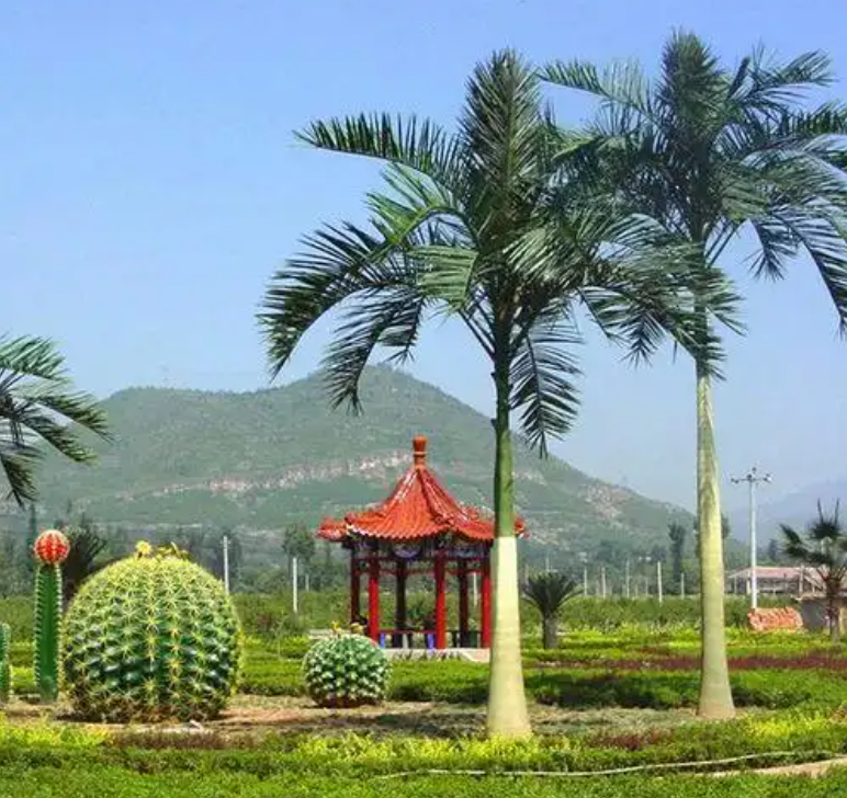 1753950989502275.png wechat_2025-07-30_153358_474.png