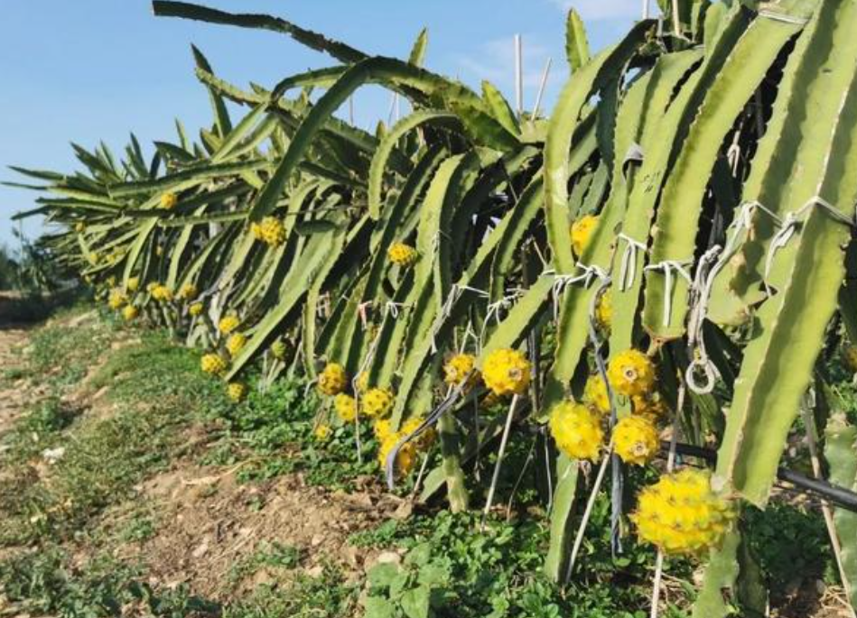 1759135659194603.png wechat_2025-09-28_144006_475.png