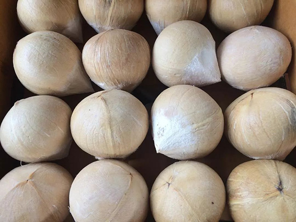 K8���� - ����Ӯ�ҡ�һ������