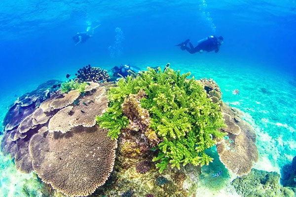 K8���� - ����Ӯ�ҡ�һ������