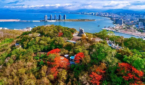 K8���� - ����Ӯ�ҡ�һ������