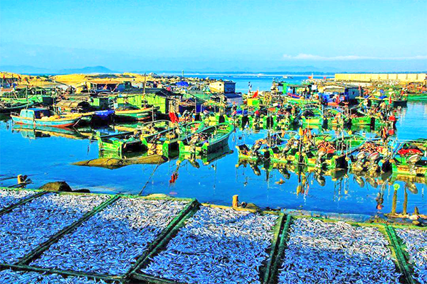 K8���� - ����Ӯ�ҡ�һ������