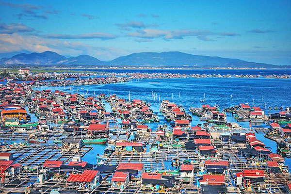 K8���� - ����Ӯ�ҡ�һ������